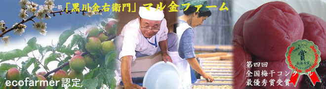 エコファーマー認定　黒川金右衛門「マル金ファーム」です。